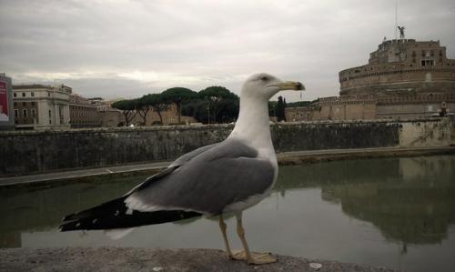 День 4. Рим. 01 День 4. Рим. 01