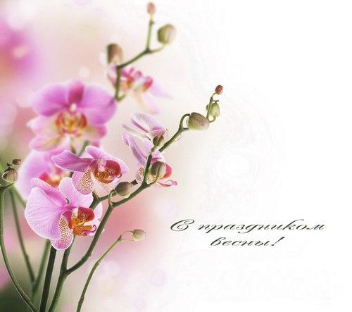 В том случае, если вы хотите выглядеть на 8 марта на все сто, непременно посетите наш салон красоты. 01