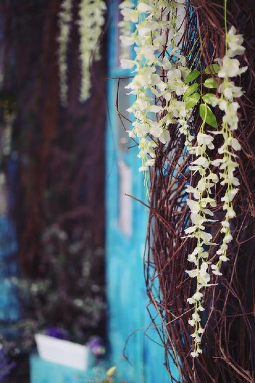 Весны?  Все просыпается, расцветает, солнышко греет как-то по-особенному? 01