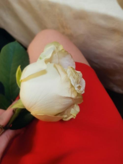 Вспомнить, что такое платье, причёска, макияж и шпилька 11 см на весь вечер - Done. 03