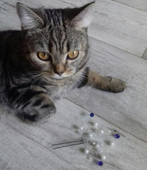 Самара?  Металлург?  Предлагаю свои услуги: 02