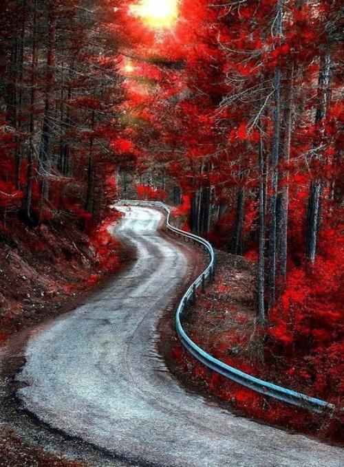 Типичная ошибка наших женщин - похожесть. 01