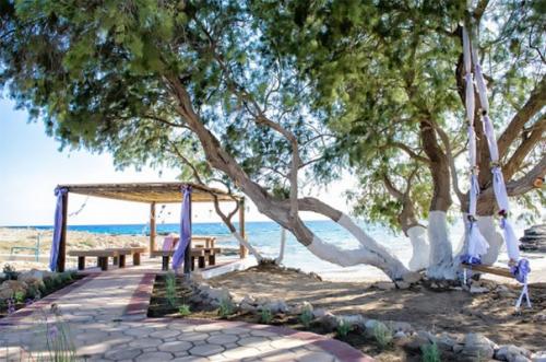 Символика в беседке Аммос на уединенном песчаном пляже. 01