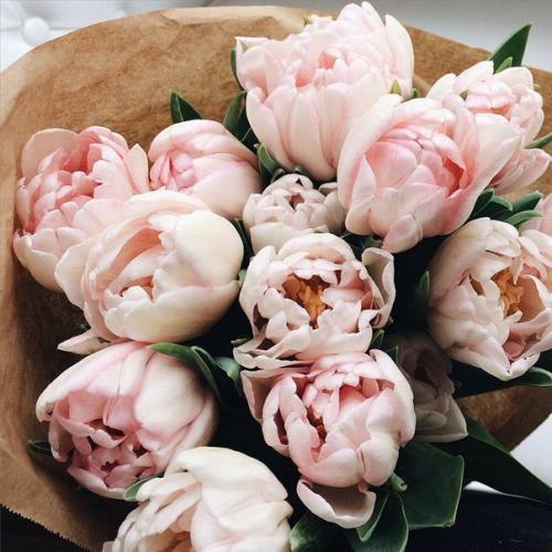 Прическа и макияж для выпускниц всего за 2000. 02