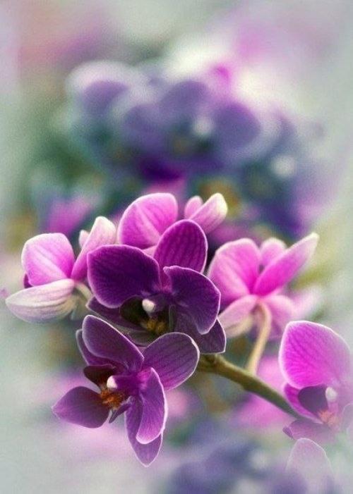 Как принять себя такой, какая есть. 02