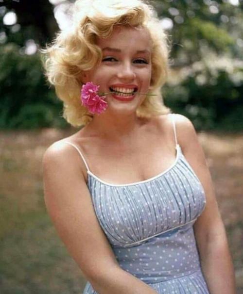 Факт о красоте мэрилин монро. 02 Факт о красоте мэрилин монро. 02