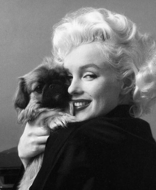 Факт о красоте мэрилин монро. 03 Факт о красоте мэрилин монро. 03