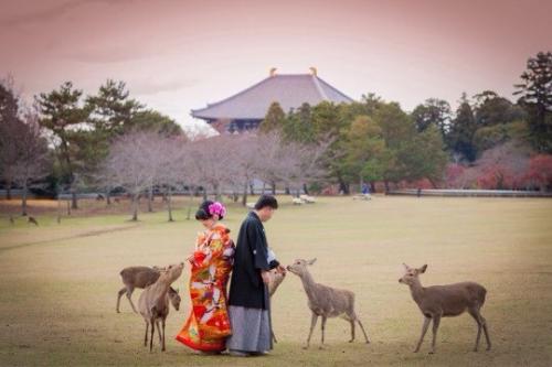 Японская_свадьба Япония традиции. 01 Японская_свадьба Япония традиции. 01