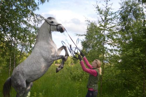 Пока погода и обстоятельства подводят и не получается состыковаться с проф. 01