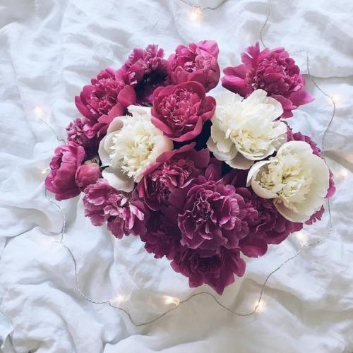 Sumflow_фоточки. Что делать на НОЧЁВКЕ с подругой? 03 Sumflow_фоточки. Что делать на НОЧЁВКЕ с подругой? 03