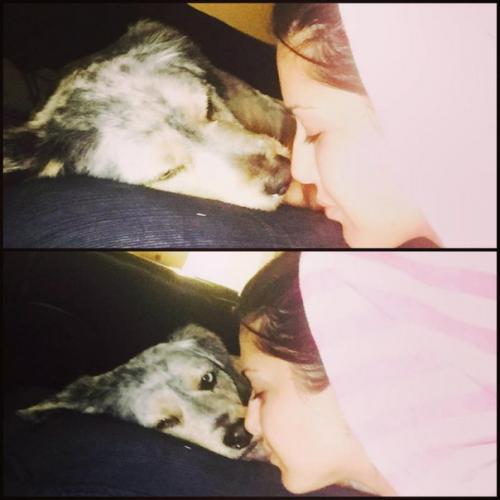 - фото из соц - сети Санни: 05