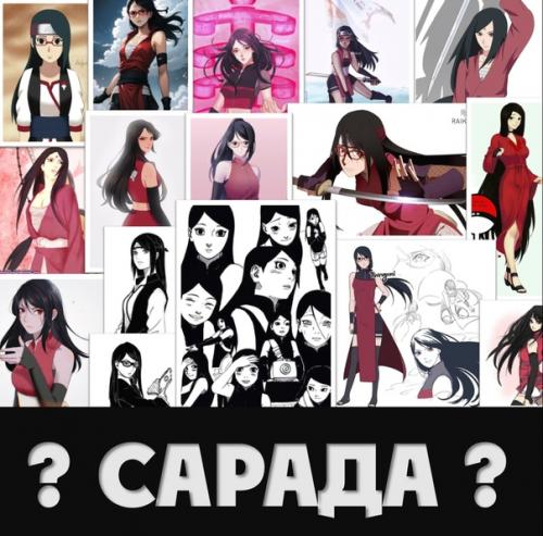 Образ сарады погряз в хаосе противоречивых предложений. 01