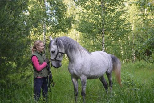 Пока погода и обстоятельства подводят и не получается состыковаться с проф. 03