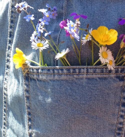 Похудение еще никогда не было таким легким? 01