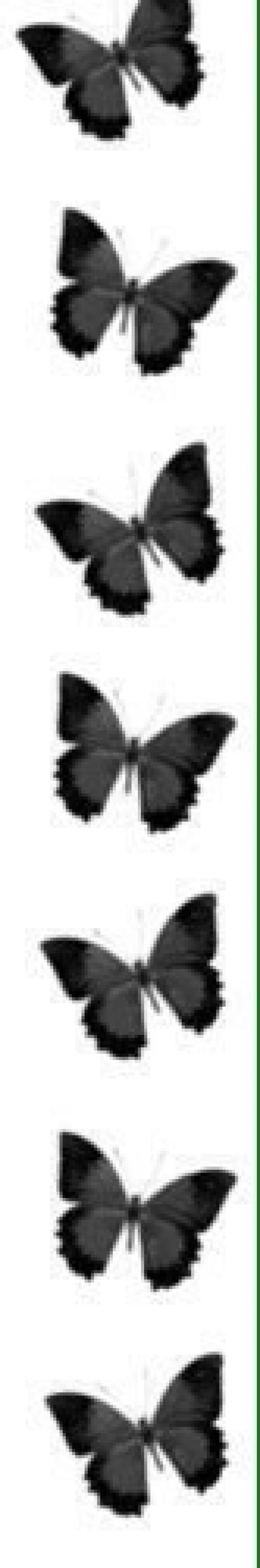 Как изменить свой имидж к 1 сентября? 02