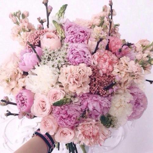 Красотки!  Доброе утро? 04