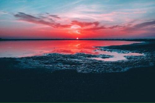 СЛАДКИЕ РОЛЛЫ. Изысканный десерт!  Ингредиенты: готовые блинчики - 7 штук;. сливочный сыр - 150 гр; сахарная пудра - 2 ст. л.;. 02