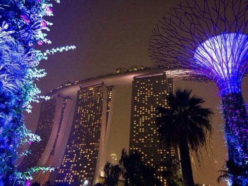 Девчонки!  В Сингапуре этот год юбилейный, туристы спешат к ним, а среди них ооочень привлекательные итальянцы? 01 Девчонки!  В Сингапуре этот год юбилейный, туристы спешат к ним, а среди них ооочень привлекательные итальянцы? 01