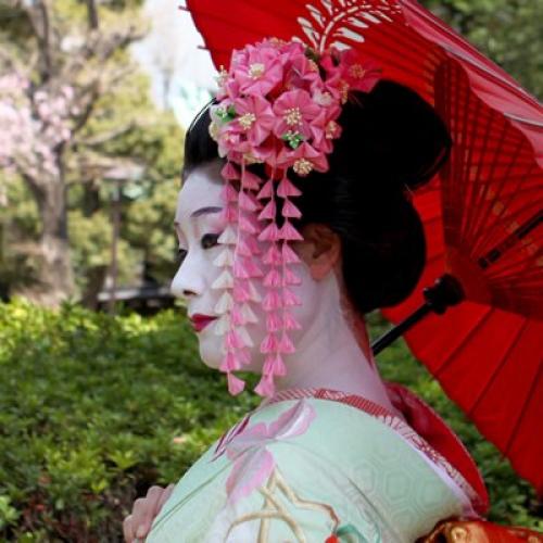 Канзаши (Kanzashi, кандзаси) - это не только тканевые цветы, не только заколки и украшения, канзаши - это настоящее искусство. 03 Канзаши (Kanzashi, кандзаси) - это не только тканевые цветы, не только заколки и украшения, канзаши - это настоящее искусство. 03