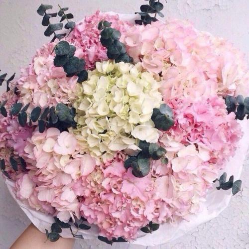 Красотки!  Доброе утро? 03