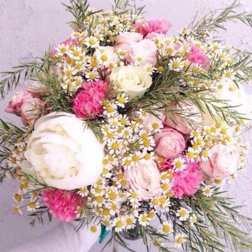 Красотки!  Доброе утро? 01