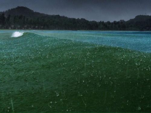 СЛАДКИЕ РОЛЛЫ. Изысканный десерт!  Ингредиенты: готовые блинчики - 7 штук;. сливочный сыр - 150 гр; сахарная пудра - 2 ст. л.;. 04